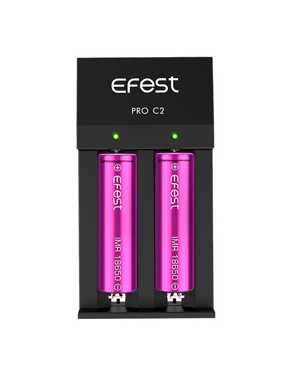 eFest Pro C2 Charger